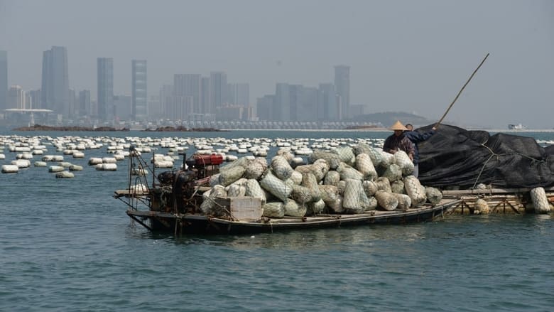 кадр из фильма 越界