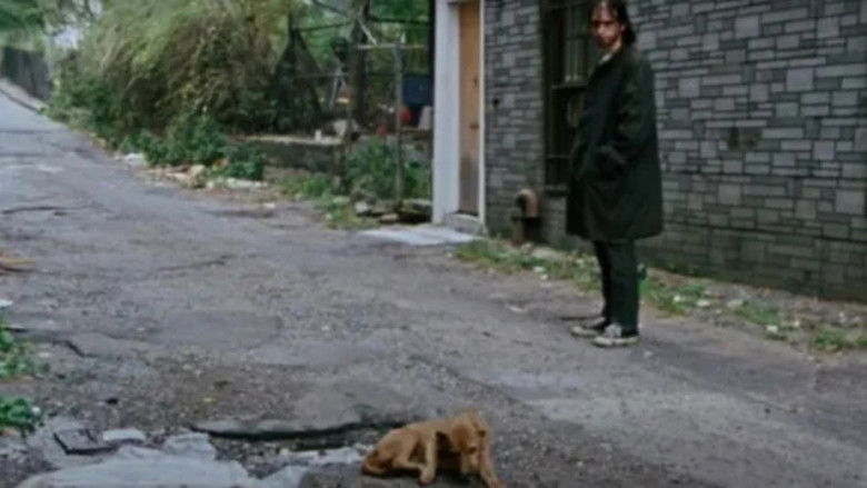 кадр из фильма Боевой Шок