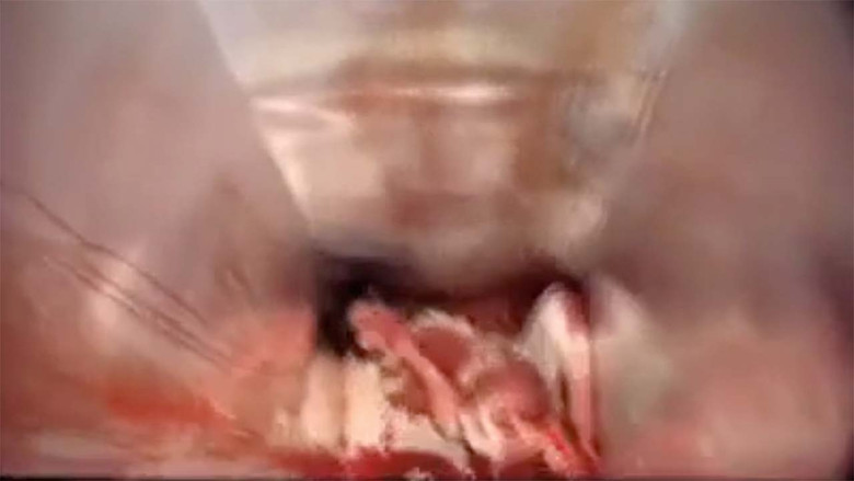 кадр из фильма Cookie