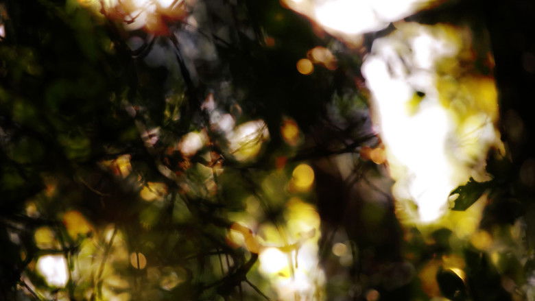 кадр из фильма Seven Heavens