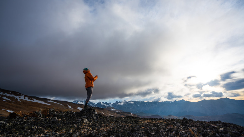 кадр из фильма Wild Life