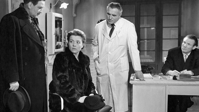 кадр из фильма Крысы