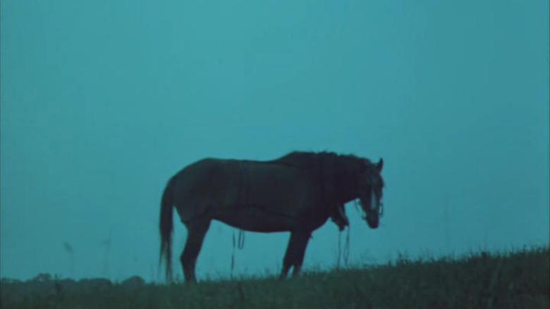 кадр из фильма Тёплый хлеб