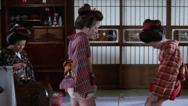 кадр из фильма 四畳半襖の裏張り　しのび肌