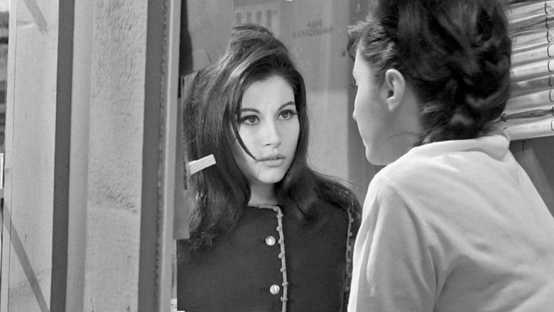 кадр из фильма Πάρε Κόσμε