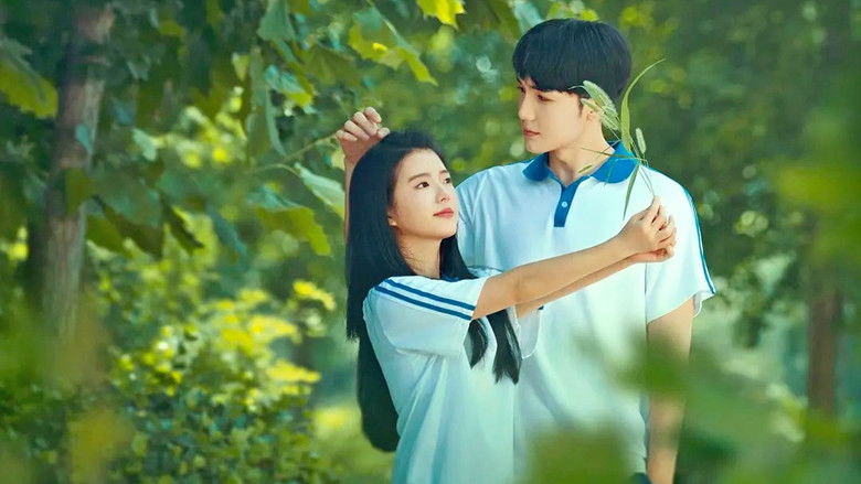 кадр из фильма 我的遗憾和你有关