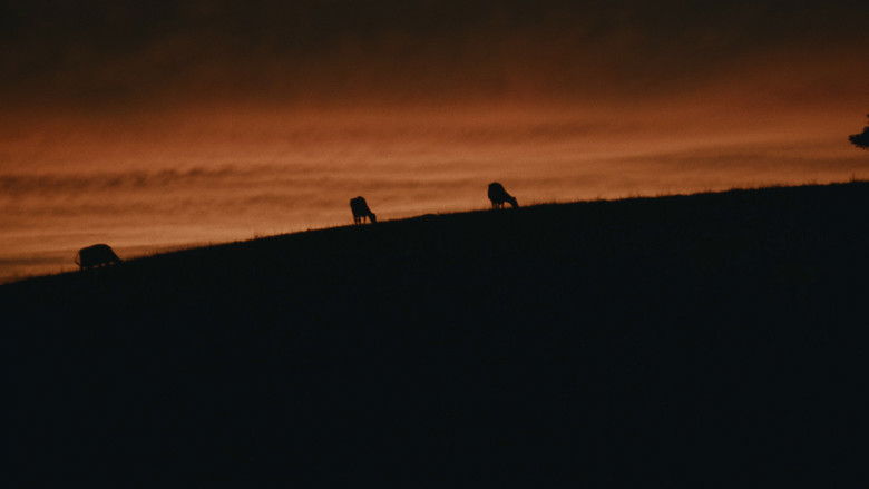 кадр из фильма Expiration Date