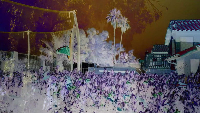 кадр из фильма Revisited Remunerations Rapturously Collapse When Recompensed