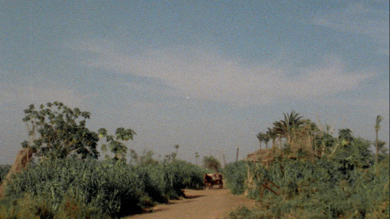 кадр из фильма Trop tôt, trop tard