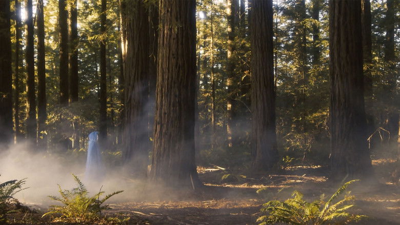 кадр из фильма Good Bye