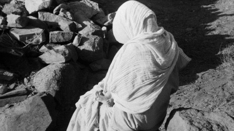 кадр из фильма El cant dels ocells