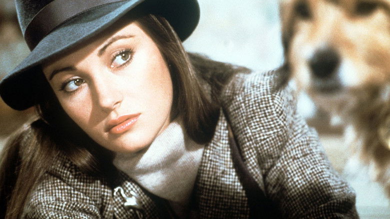 кадр из фильма О, божественный пес!