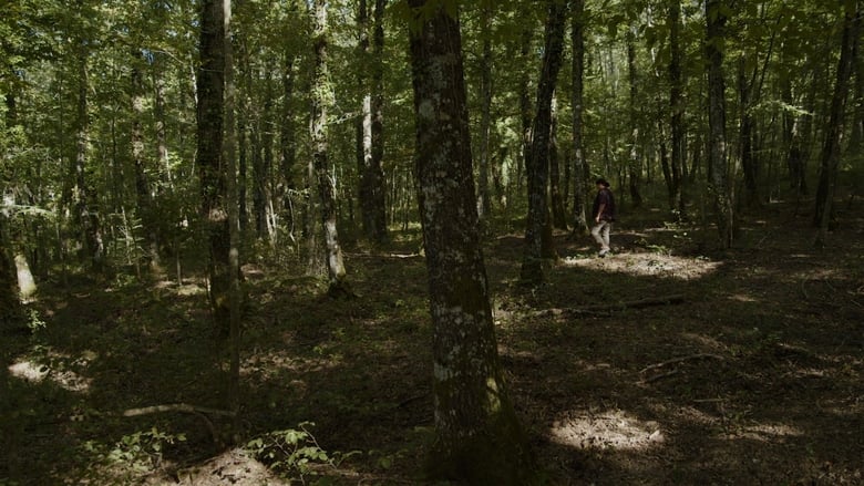 кадр из фильма L'ornitologa