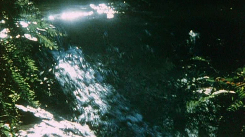 кадр из фильма Australian Bush