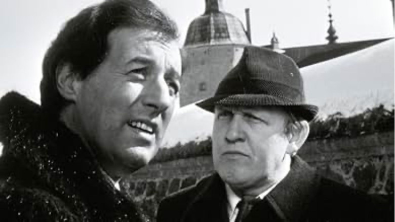 кадр из фильма Dubbelstötarna