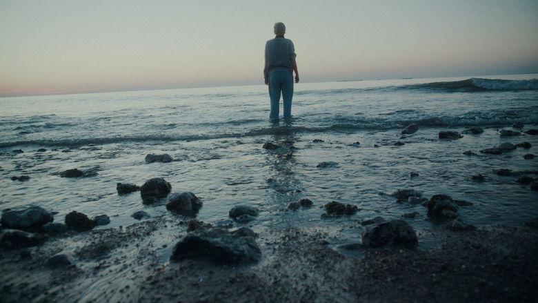 кадр из фильма Camper