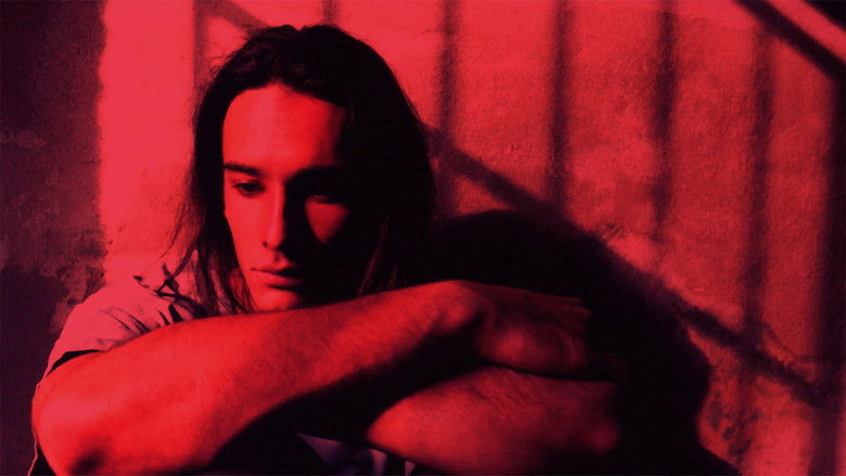 кадр из фильма Bicho de Sete Cabeças