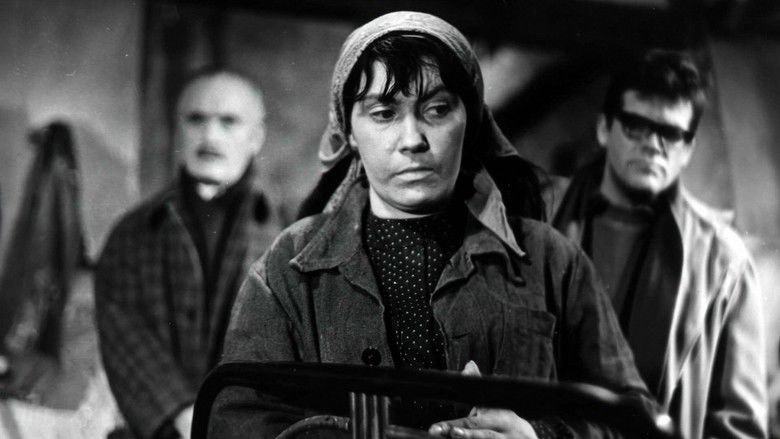 кадр из фильма Szyfry