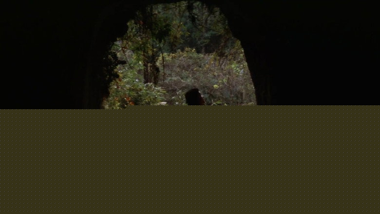 кадр из фильма 恋人たちは濡れた