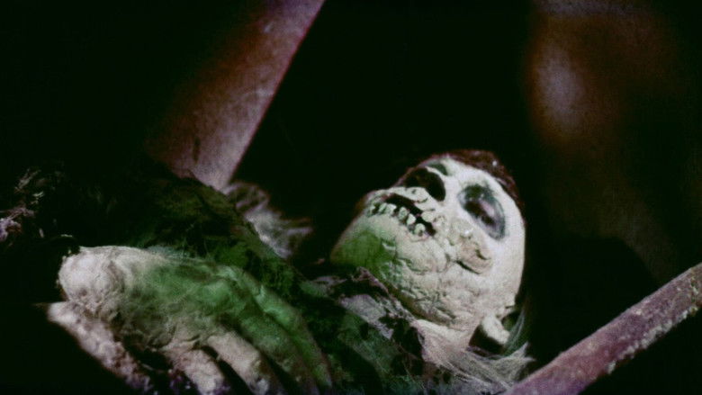 кадр из фильма Death Curse of Tartu