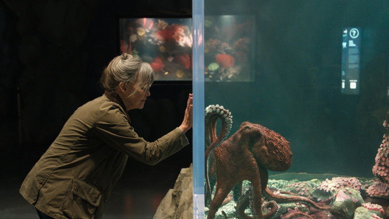 кадр из фильма Remarkably Bright Creatures