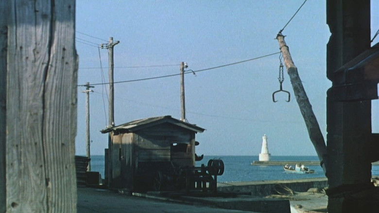 кадр из фильма Плавучие травы