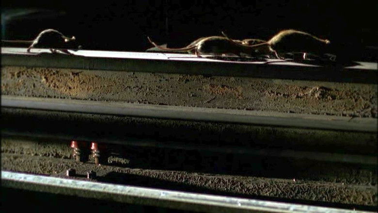 кадр из фильма The Rats