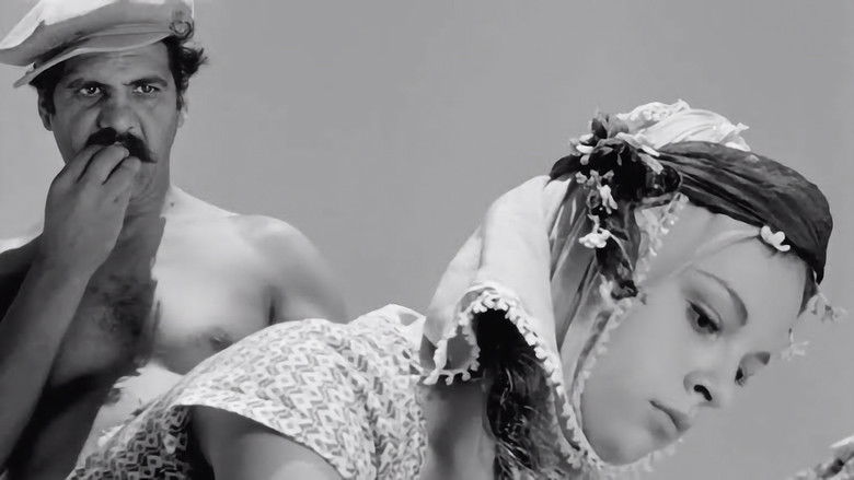 кадр из фильма Засушливое лето