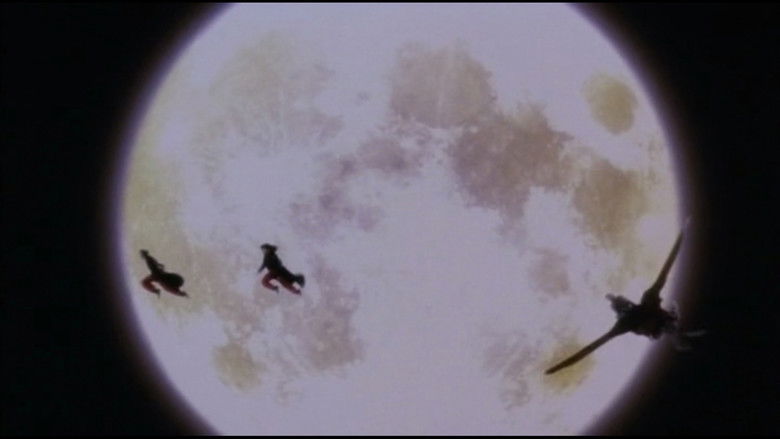 кадр из фильма 野蛮密笈