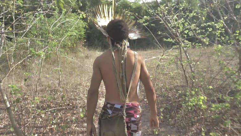 кадр из фильма Diálogos Indígenas do Nosso Tempo