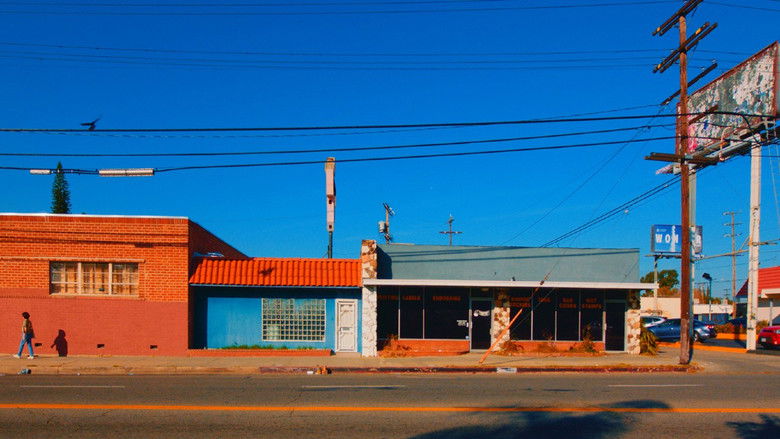 кадр из фильма 사랑해 주세요 그리고 버려요