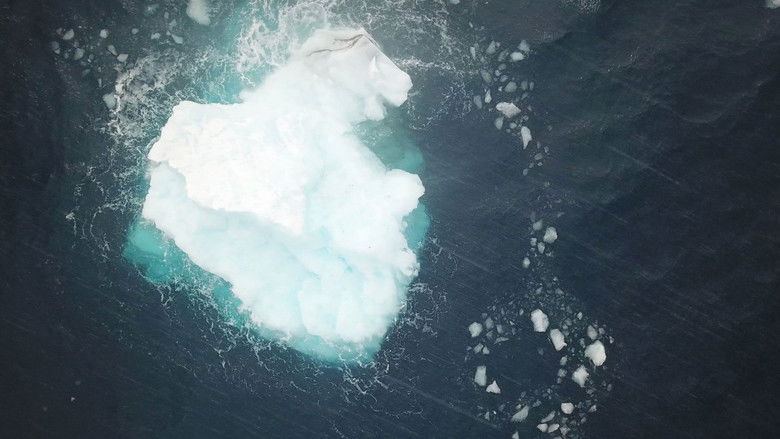 кадр из фильма FREM