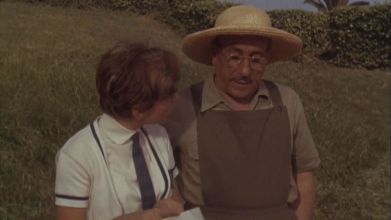 кадр из фильма Rita la zanzara