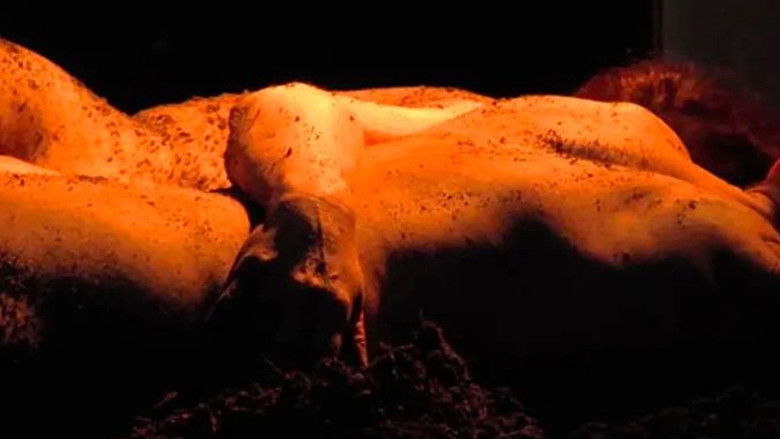 кадр из фильма Ecosex, a User's Manual