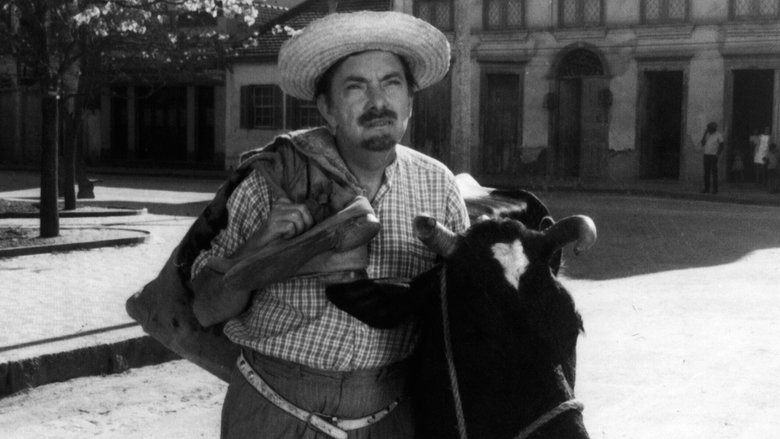 кадр из фильма No Paraíso das Solteironas