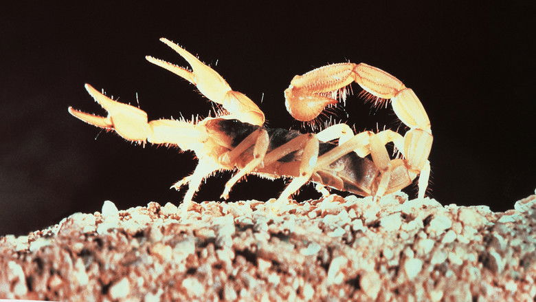 кадр из фильма The Living Desert