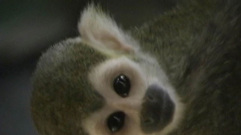 кадр из фильма Suicide