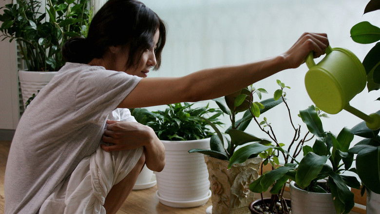 кадр из фильма 채식주의자