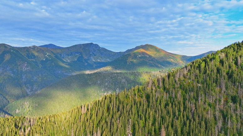 Miznúci svet hlucháňa