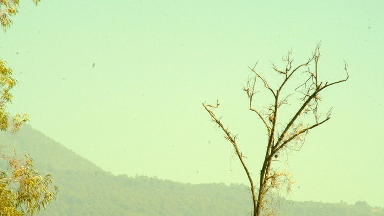 кадр из фильма Percepción