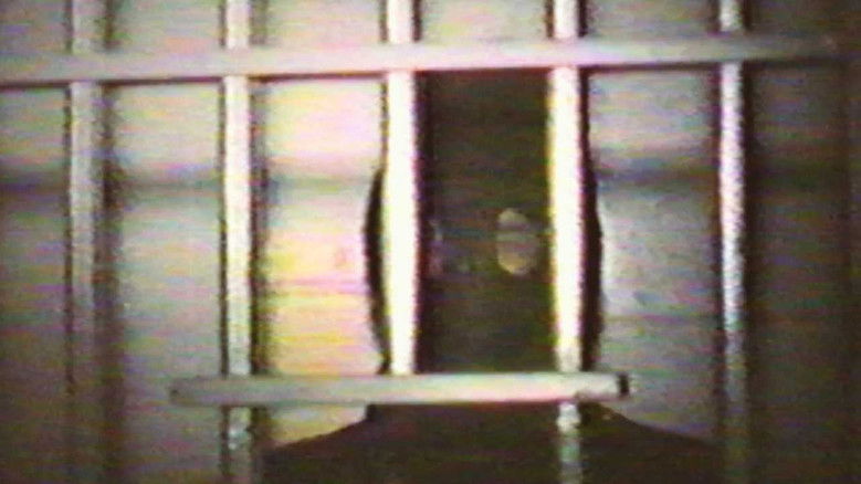 кадр из фильма Cannibal Orgy