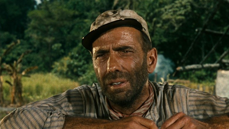 кадр из фильма Африканская королева