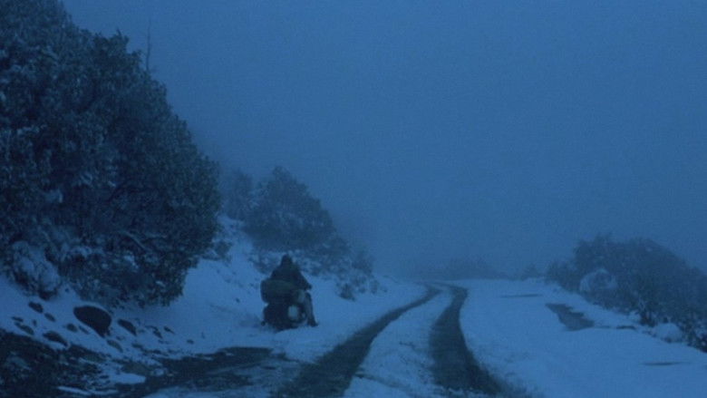 кадр из фильма Дневники мотоциклиста