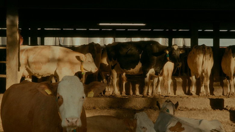 кадр из фильма Rose à la ferme