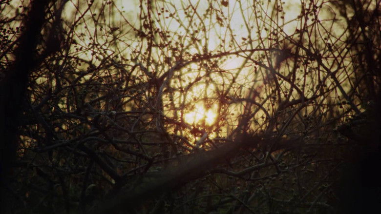 кадр из фильма Virgin People