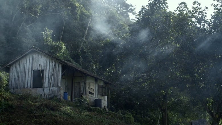 Serra do Mar