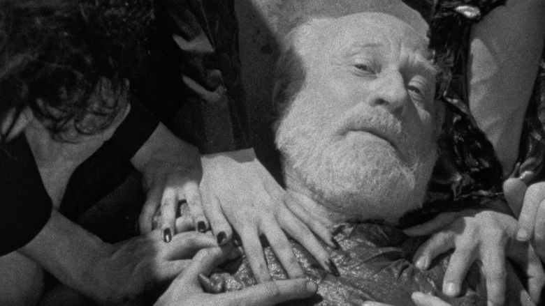 кадр из фильма Bugs Without Morals