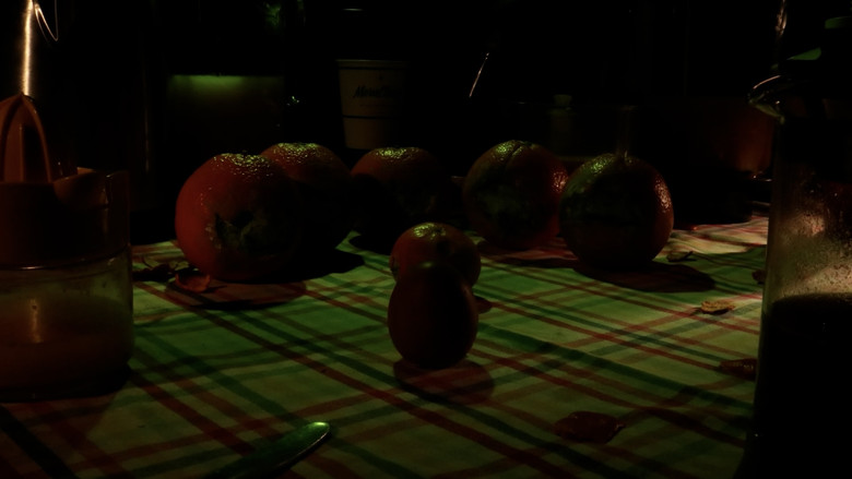 кадр из фильма 28 Eggs Later