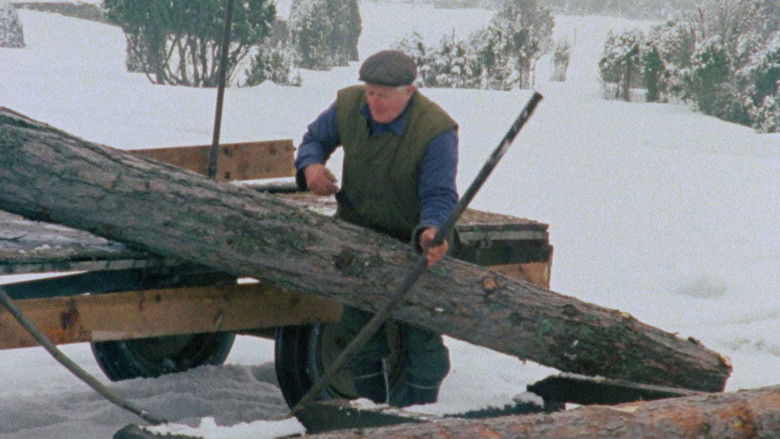 кадр из фильма Fårödokument 1979