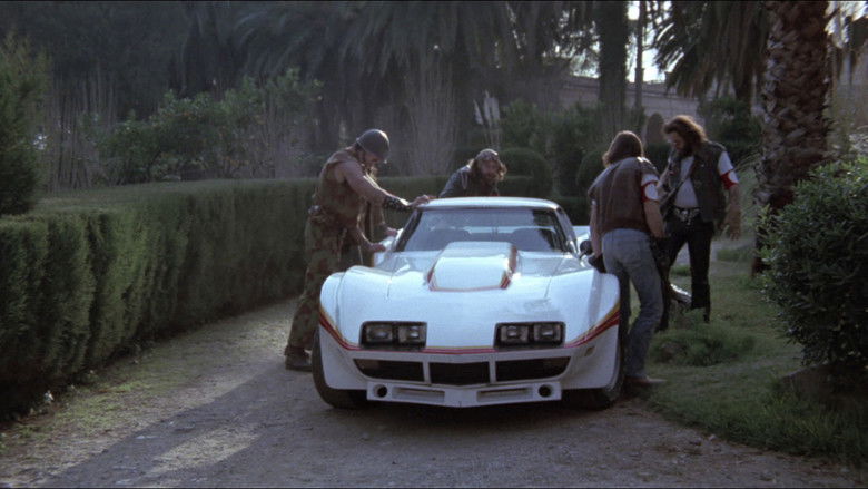 кадр из фильма Бешеные лисы